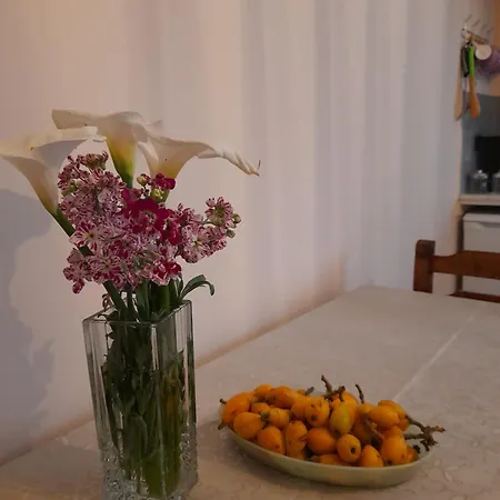 Kapsali Ii * Galíni